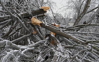 The Impact of Freezing Weather